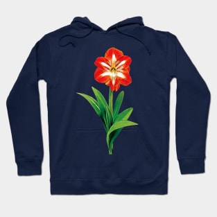 Orange and White Amaryllis Hoodie